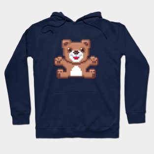 Pixel Teddy Bear Hoodie